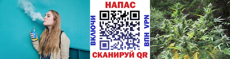 Шишки марихуана ГИДРОПОН  Багратионовск 
